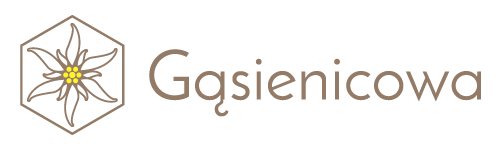 logo gsienicowa